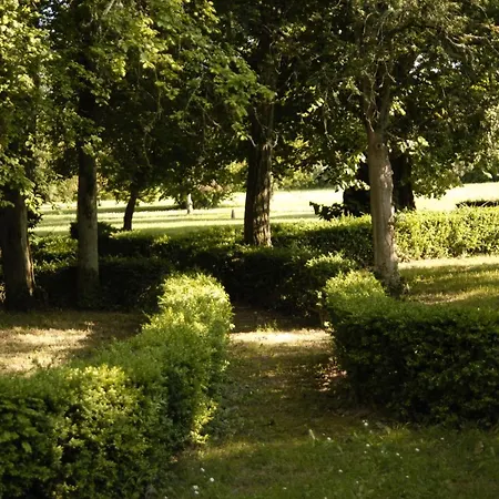 Les Buis De Saint Martin Marssac-sur-Tarn